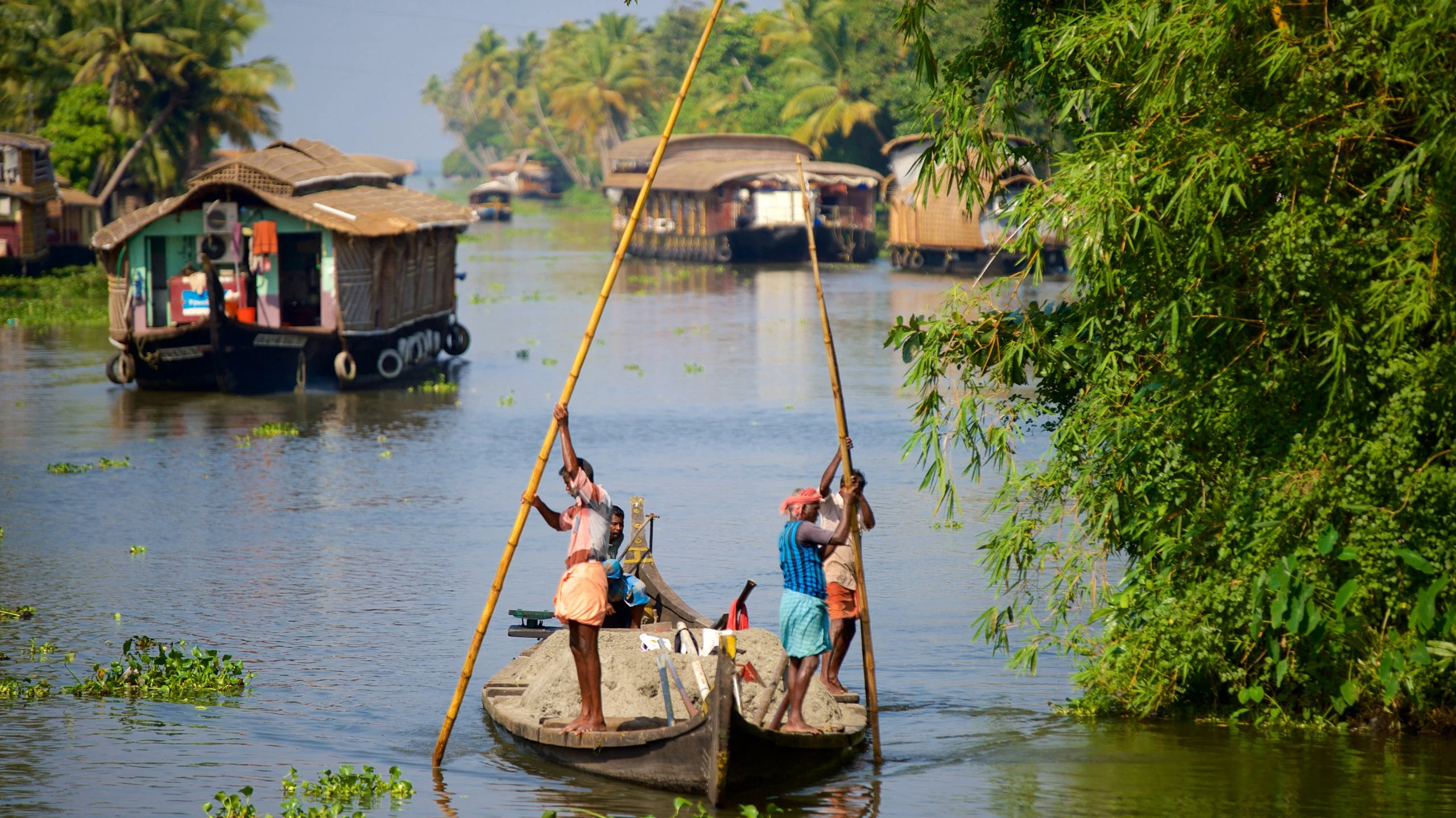 Alleppey canal and coconut groves